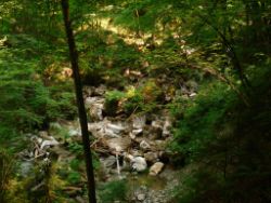 2013-07-20_Regina-F-Rau_Kochel-Rabenkopf (086).JPG
